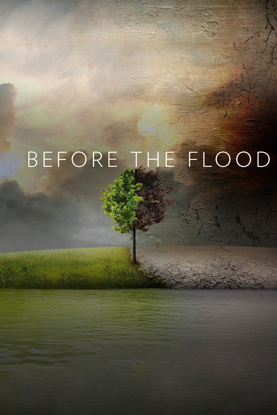 Before the Flood (2016) [374138] (A1750733926) [[Movies]] --Plex--